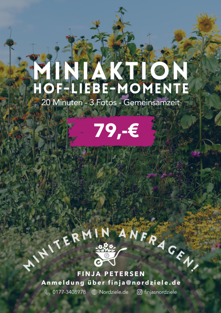 Sonnenblumenfeld mit Text für eon Fotoshootings auf dm Biohof Fehmarn